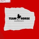 Logo del Maneggio Team Horse su sfondo rosso