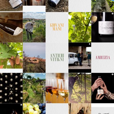 Feed Instagram Tenuta Trium pagina 8