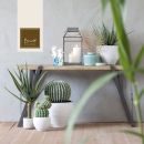 Consolle con cactus, lanterna e piccoli vasi decorativi