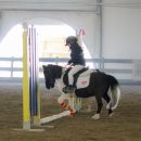 Pony nero con giovane amazzone durante il salto di un ostacolo indoor