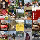 Feed Instagram Team Horse con gare, premiazioni e cavalli della scuderia
